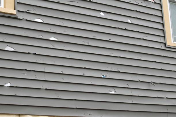 Best Steel Siding Installation  in Brookhaven, MS