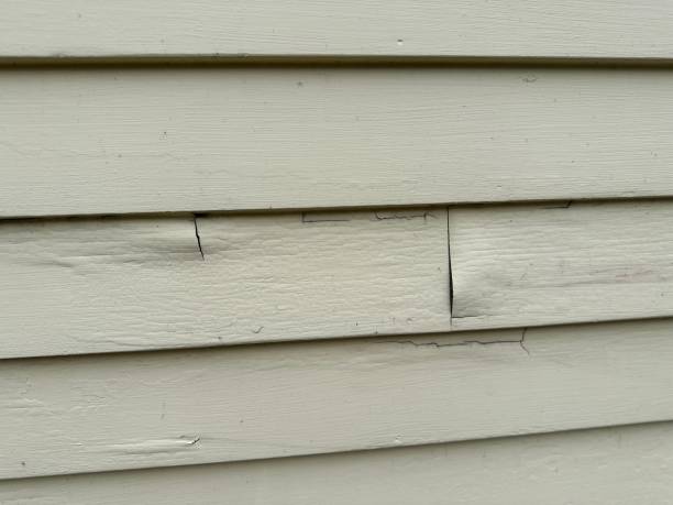 Best Vinyl Siding Installation  in Brookhaven, MS